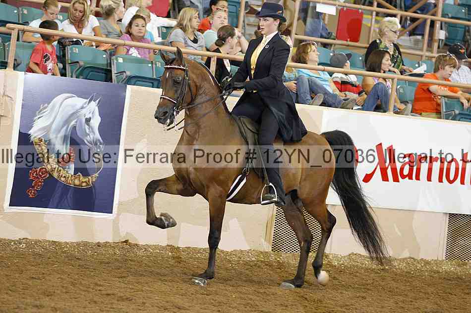 Proof 12yn_07036