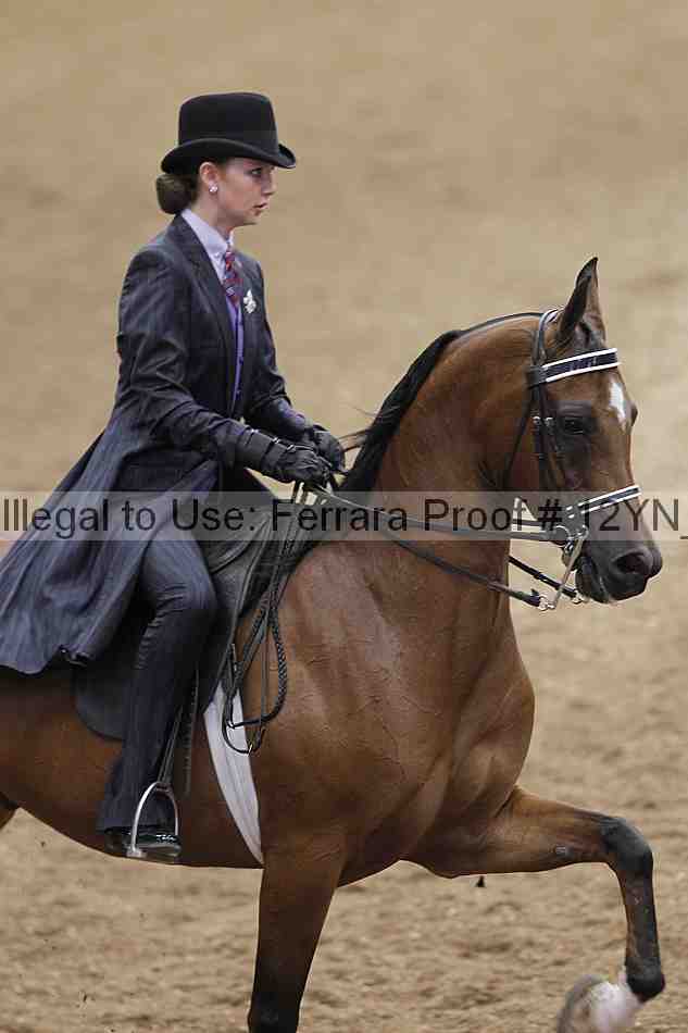 Proof 12yn_07039