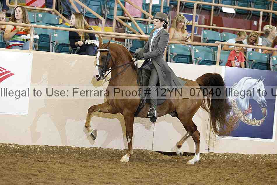 Proof 12yn_07040