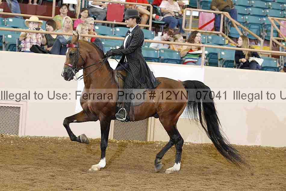 Proof 12yn_07041