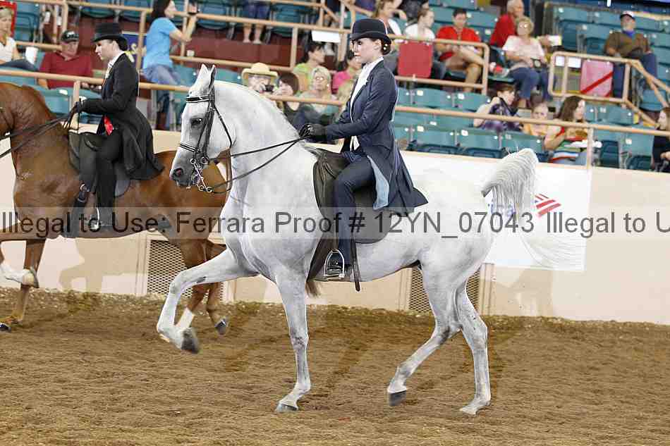 Proof 12yn_07043