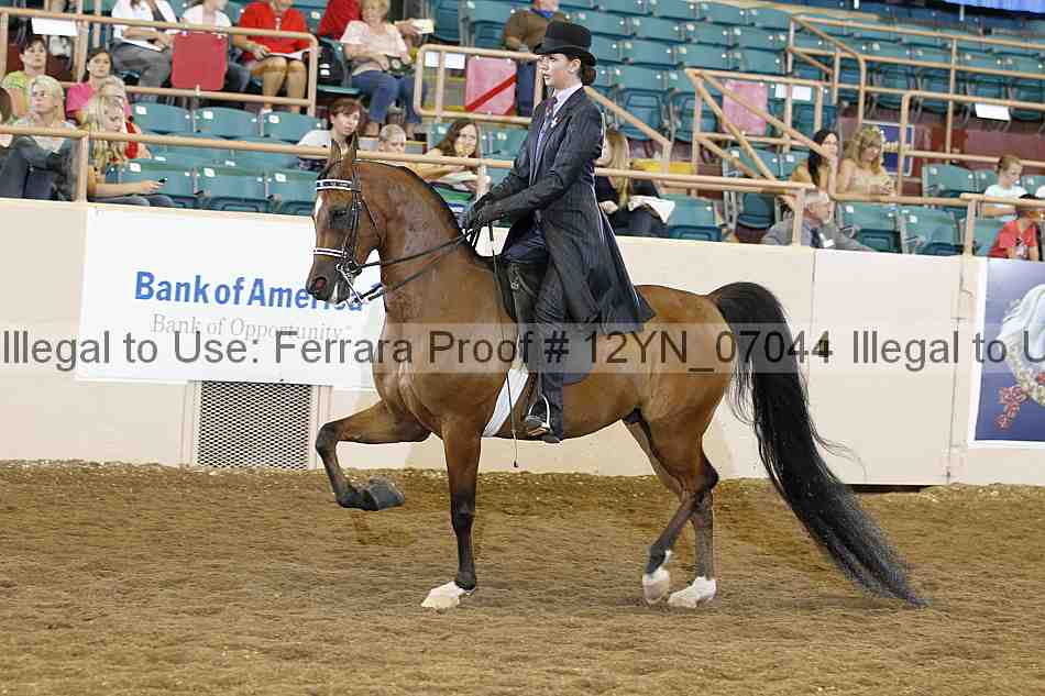 Proof 12yn_07044