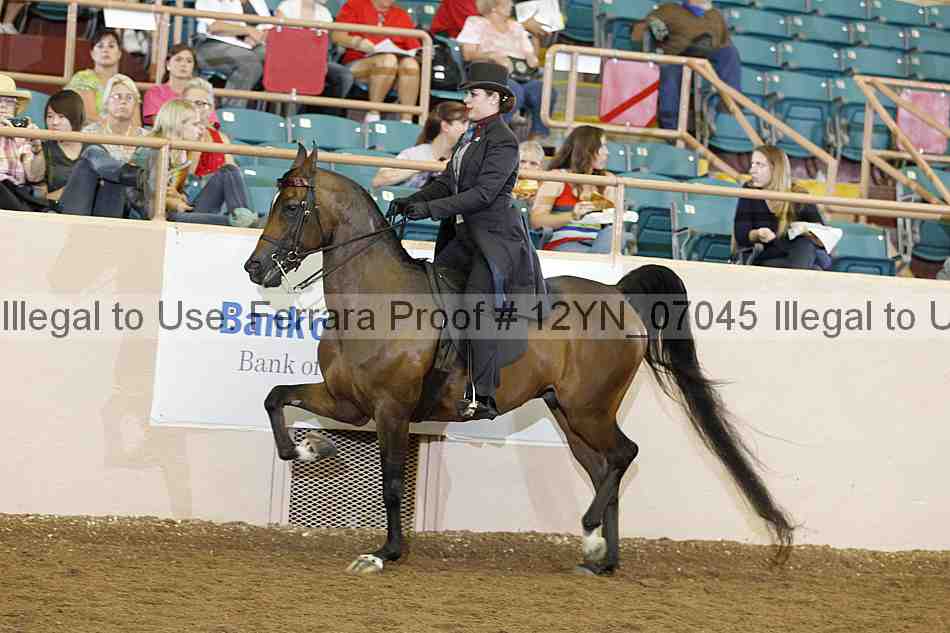 Proof 12yn_07045