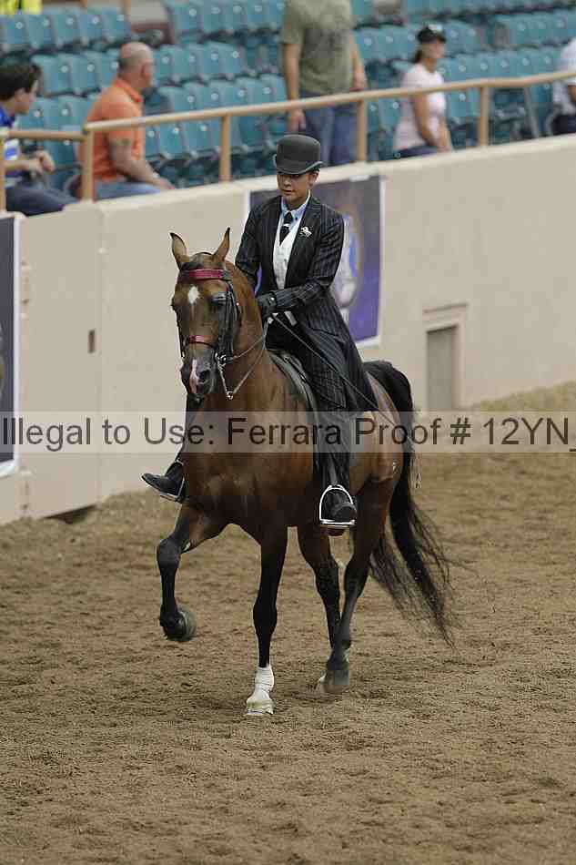 Proof 12yn_07046