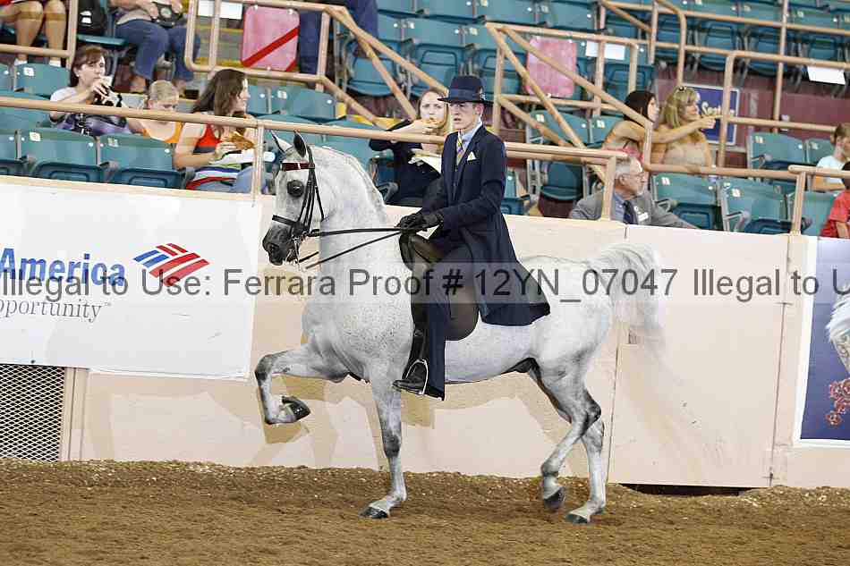 Proof 12yn_07047