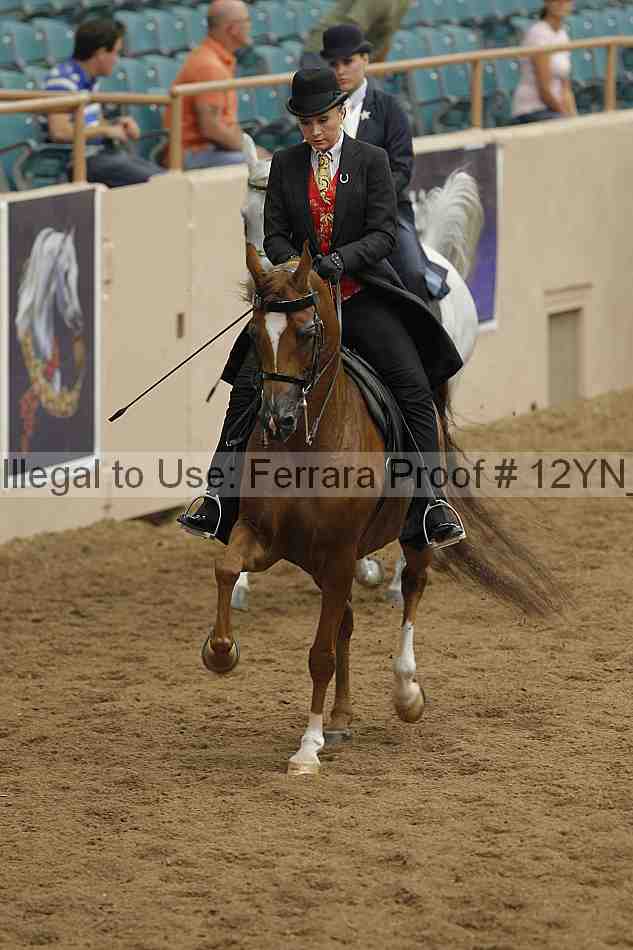 Proof 12yn_07048