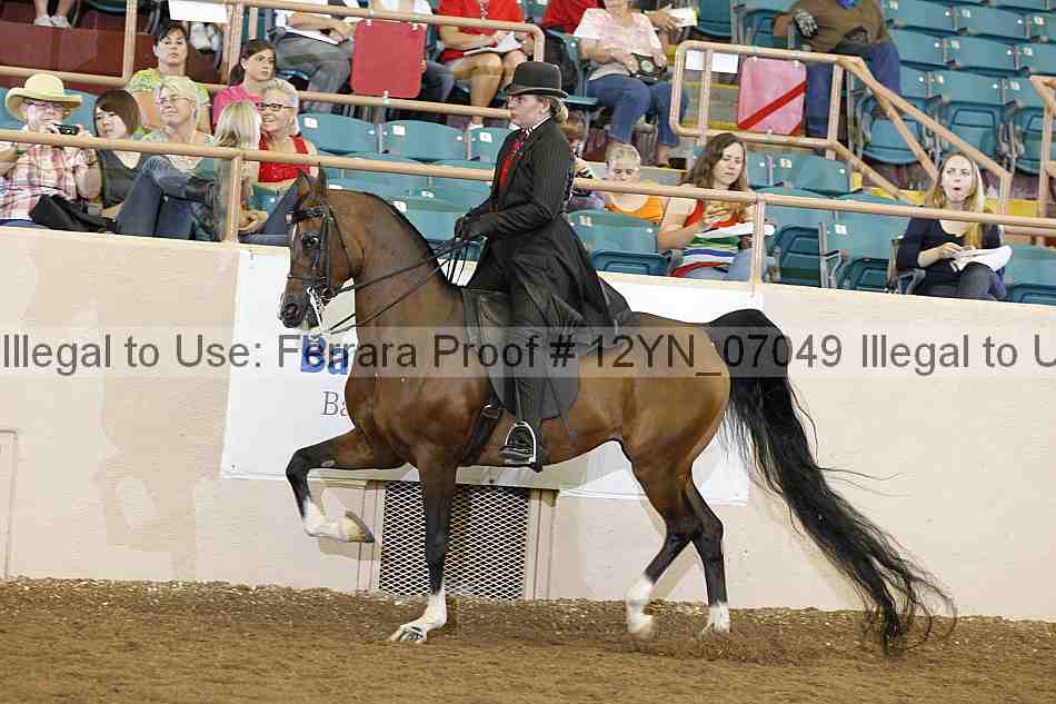Proof 12yn_07049
