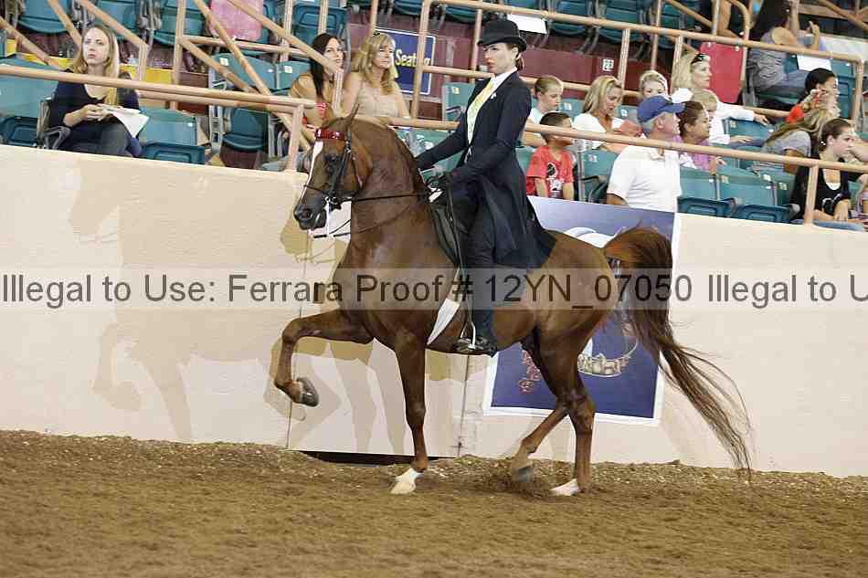 Proof 12yn_07050
