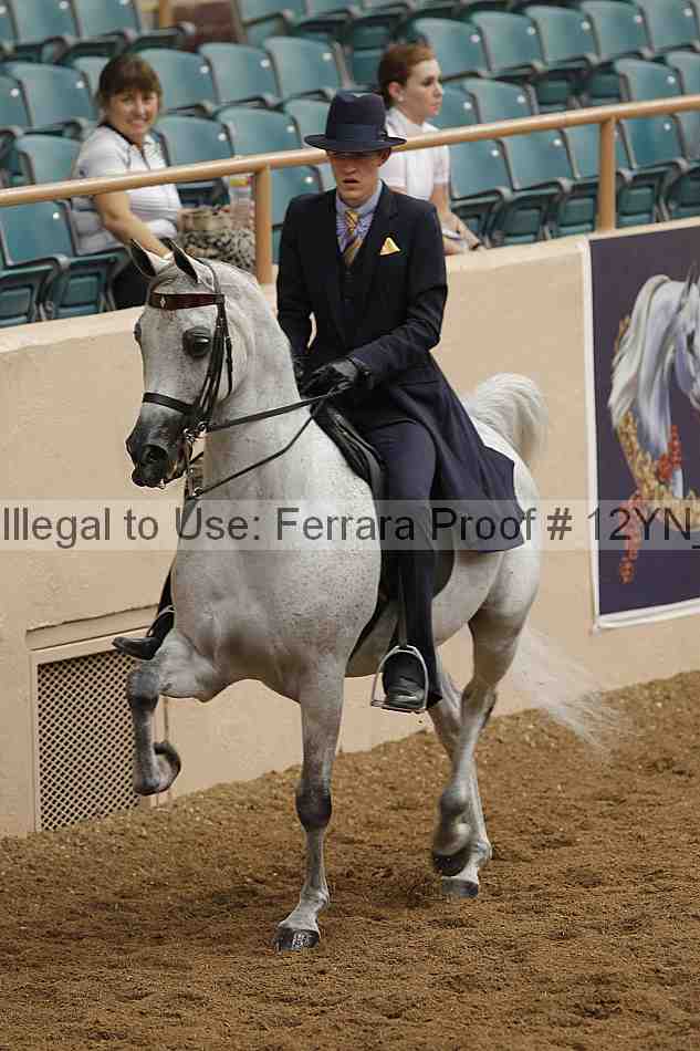 Proof 12yn_07051