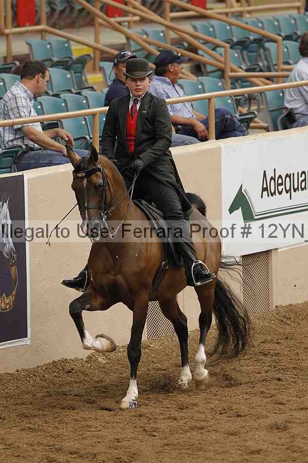 Proof 12yn_07053