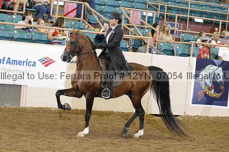 Proof 12yn_07054