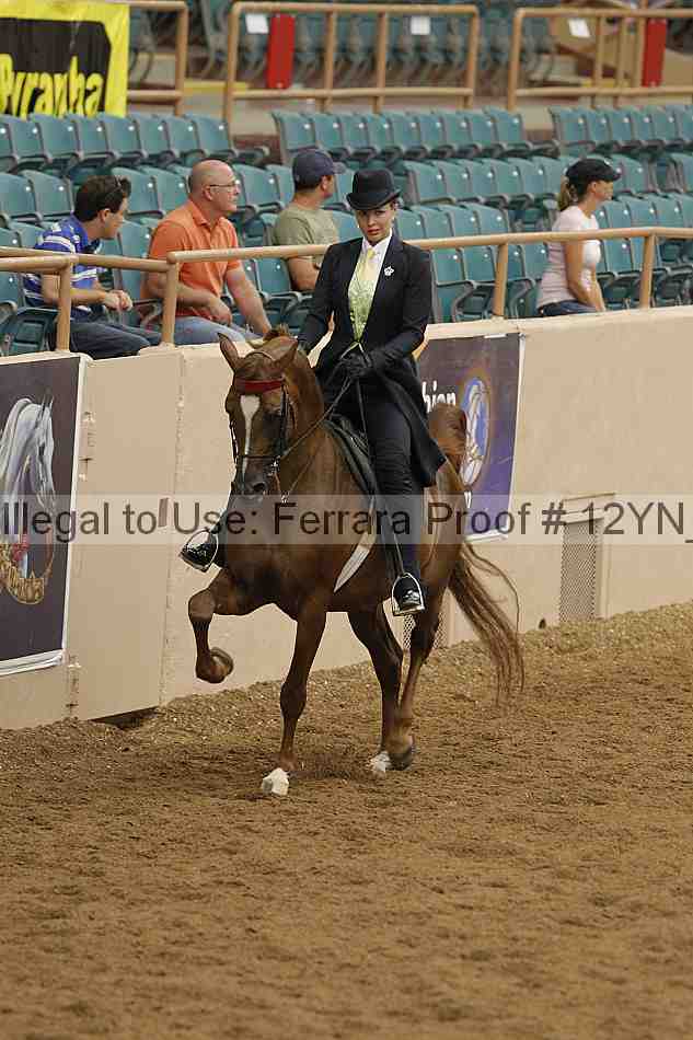 Proof 12yn_07055