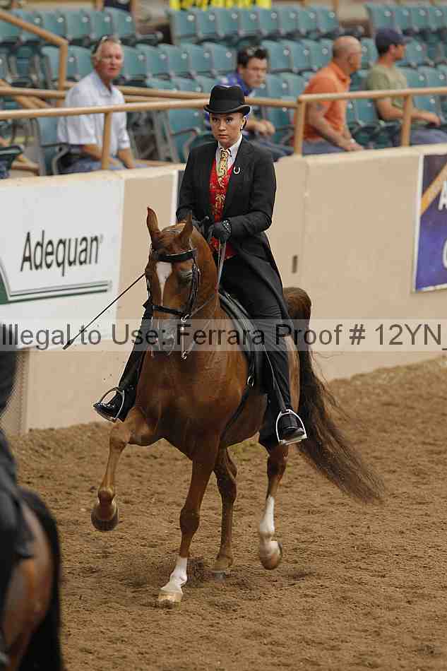 Proof 12yn_07057