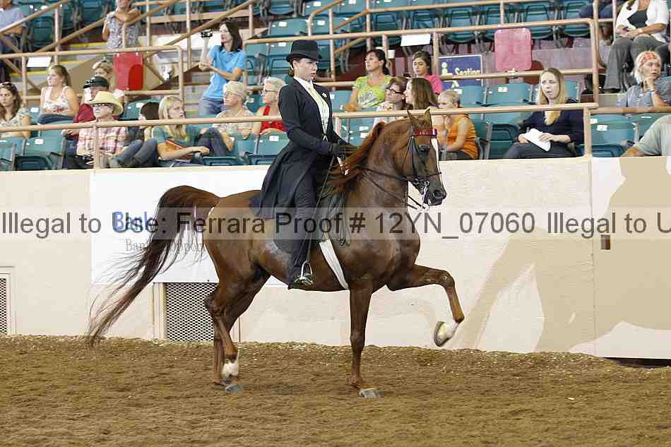 Proof 12yn_07060