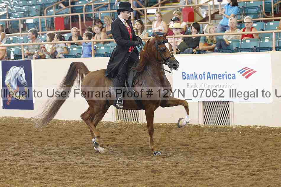 Proof 12yn_07062
