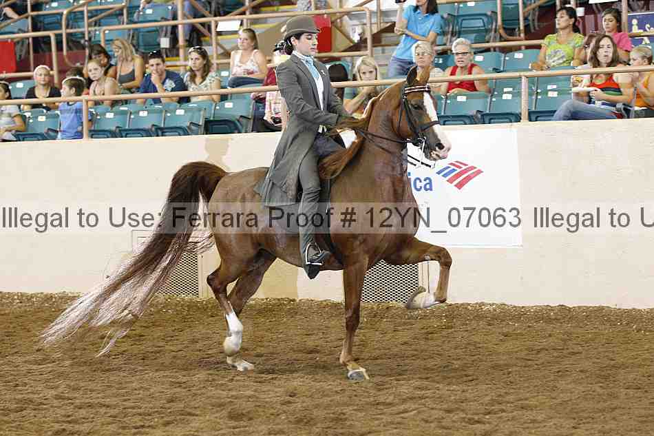 Proof 12yn_07063