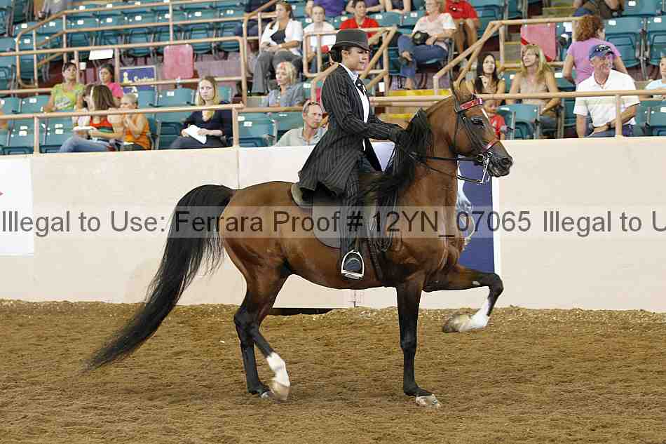 Proof 12yn_07065