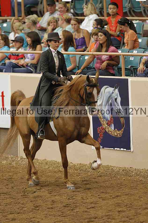 Proof 12yn_07066