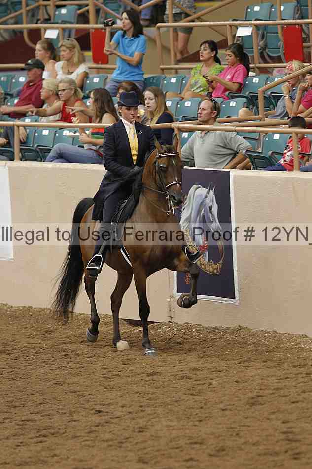 Proof 12yn_07067