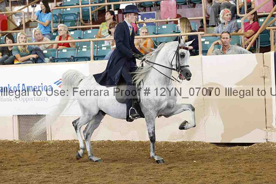 Proof 12yn_07070
