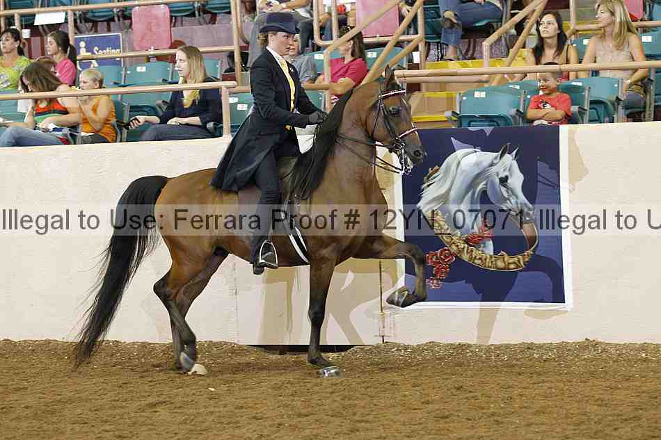 Proof 12yn_07071