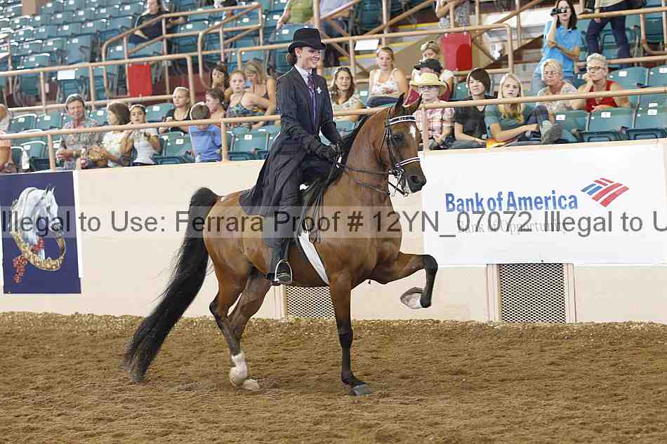Proof 12yn_07072