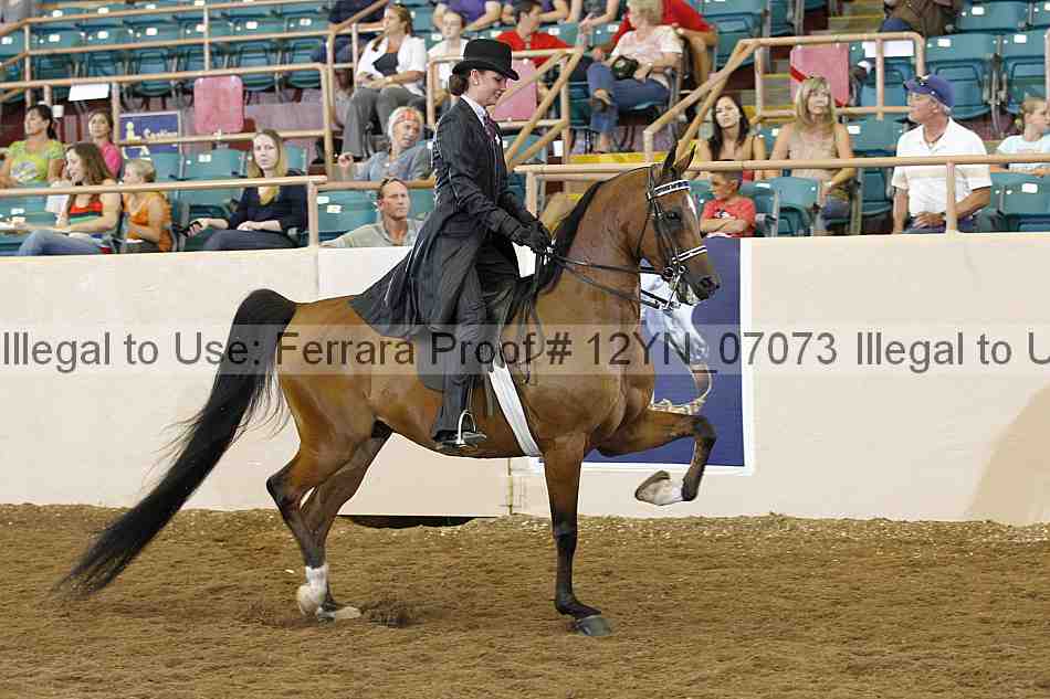 Proof 12yn_07073