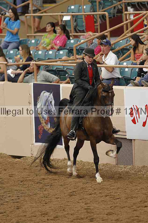 Proof 12yn_07074