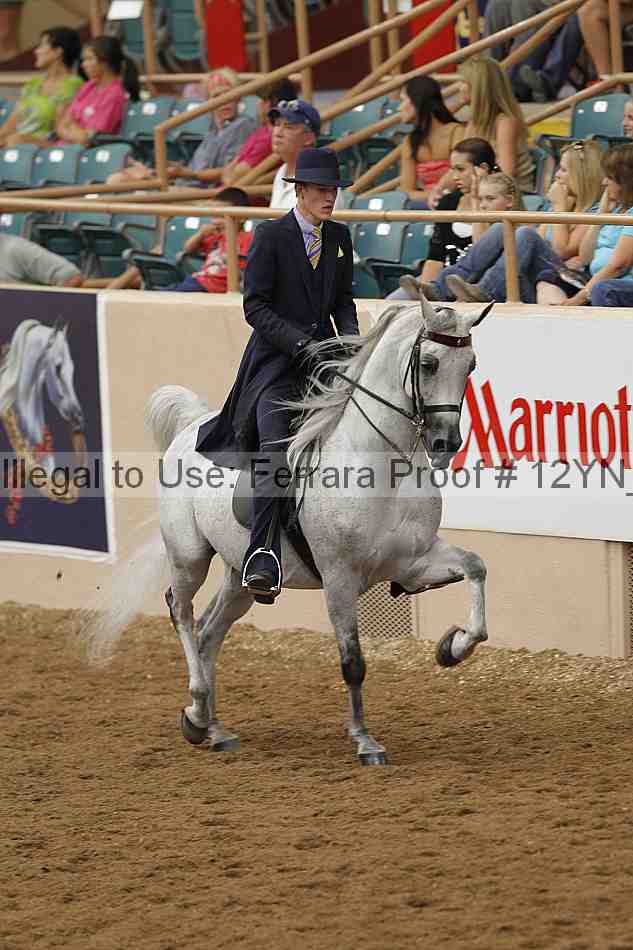 Proof 12yn_07077