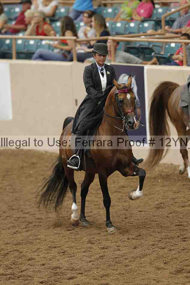Proof 12yn_07079