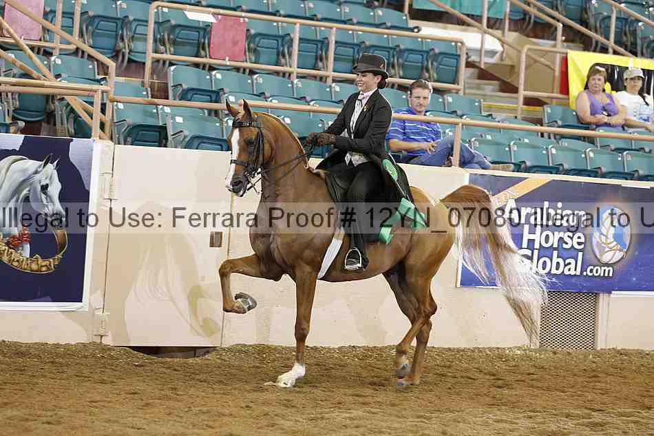Proof 12yn_07080