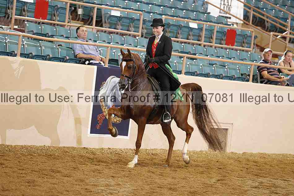 Proof 12yn_07081