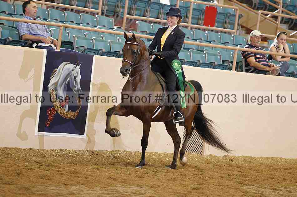 Proof 12yn_07083