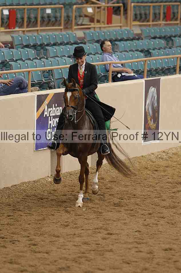 Proof 12yn_07085