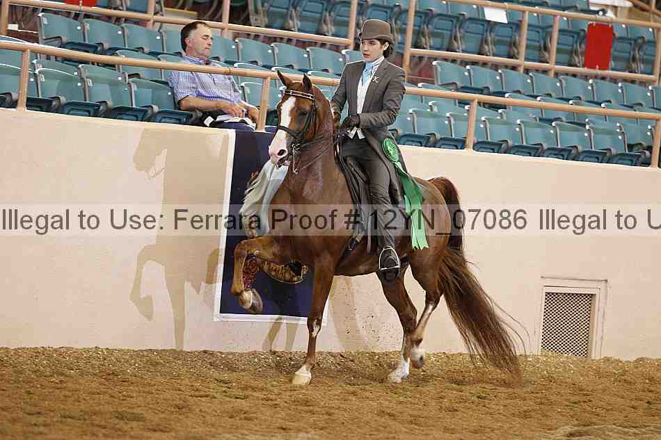 Proof 12yn_07086