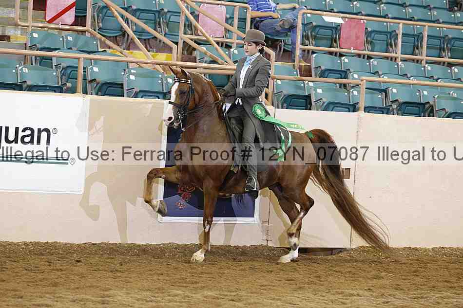 Proof 12yn_07087