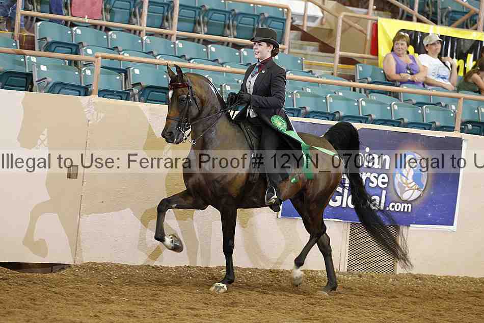 Proof 12yn_07091