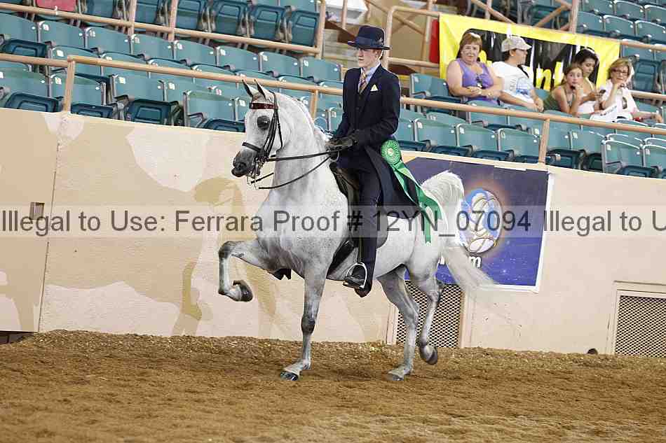 Proof 12yn_07094