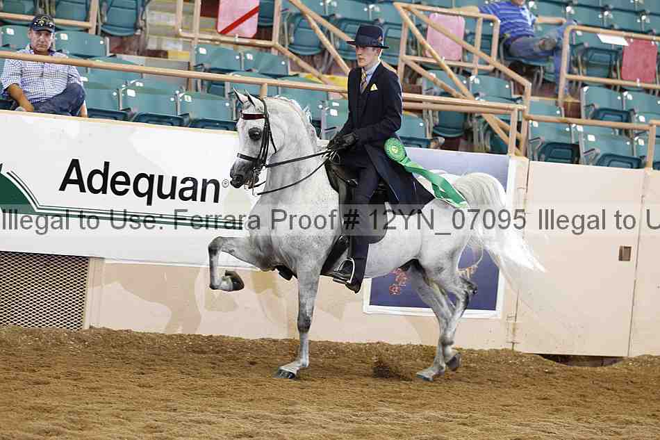 Proof 12yn_07095