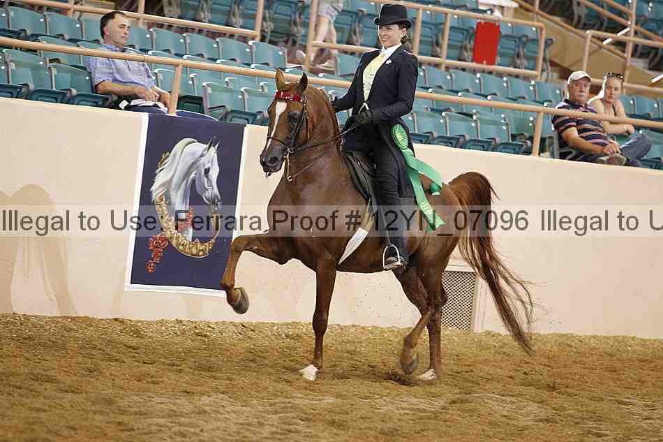 Proof 12yn_07096