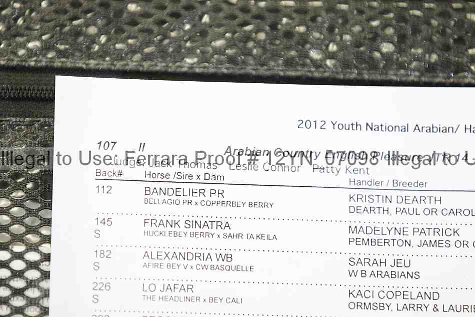 Proof 12yn_07098