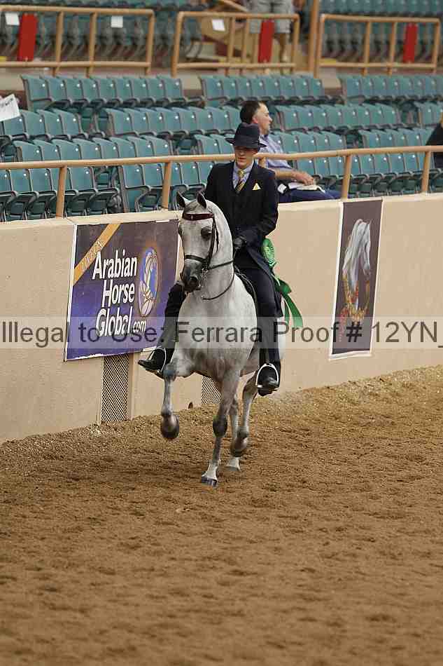 Proof 12yn_07099