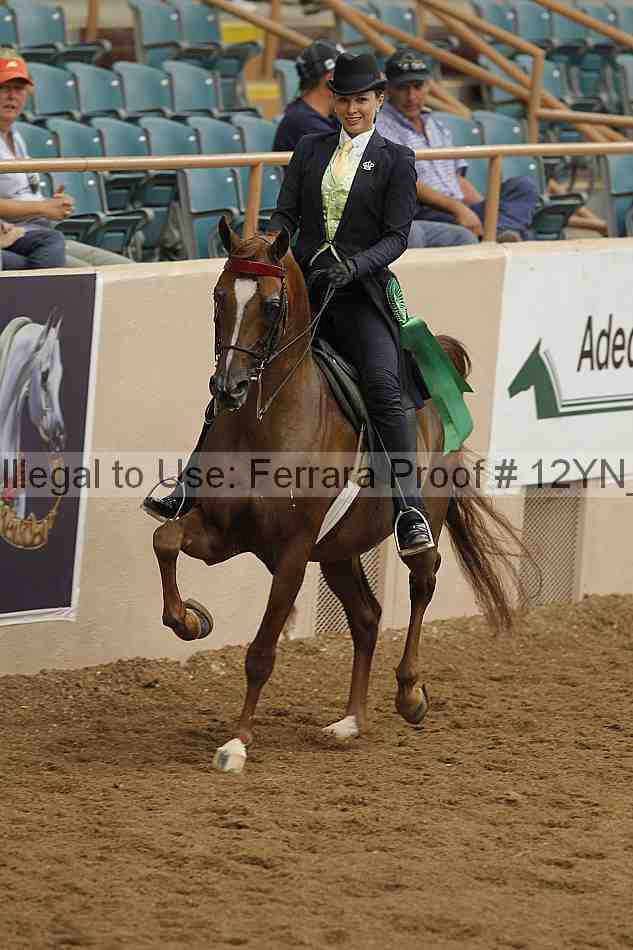 Proof 12yn_07101
