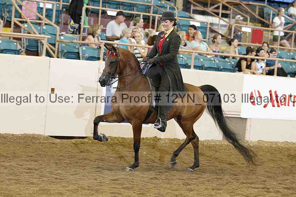 Proof 12yn_07103
