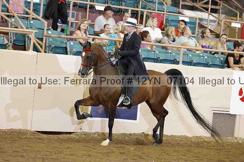 Proof 12yn_07104