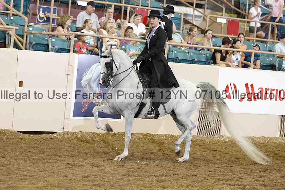 Proof 12yn_07105
