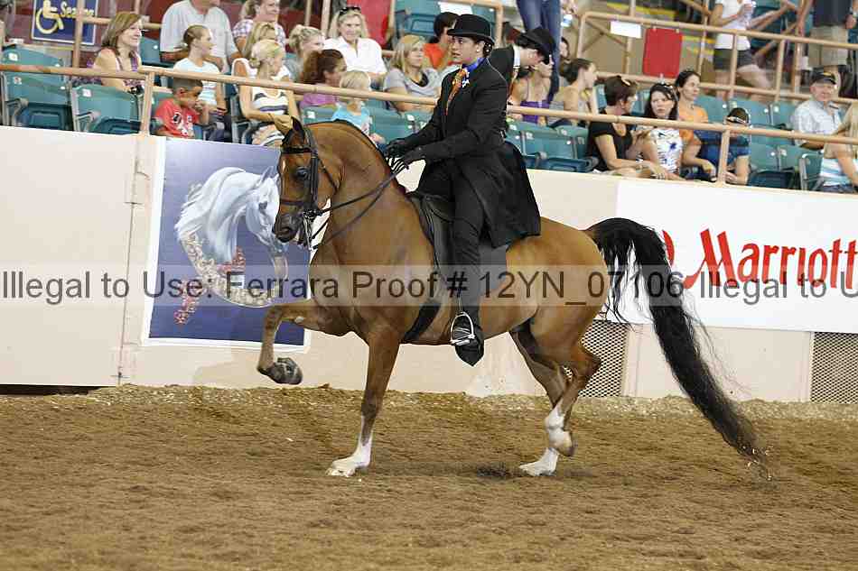 Proof 12yn_07106
