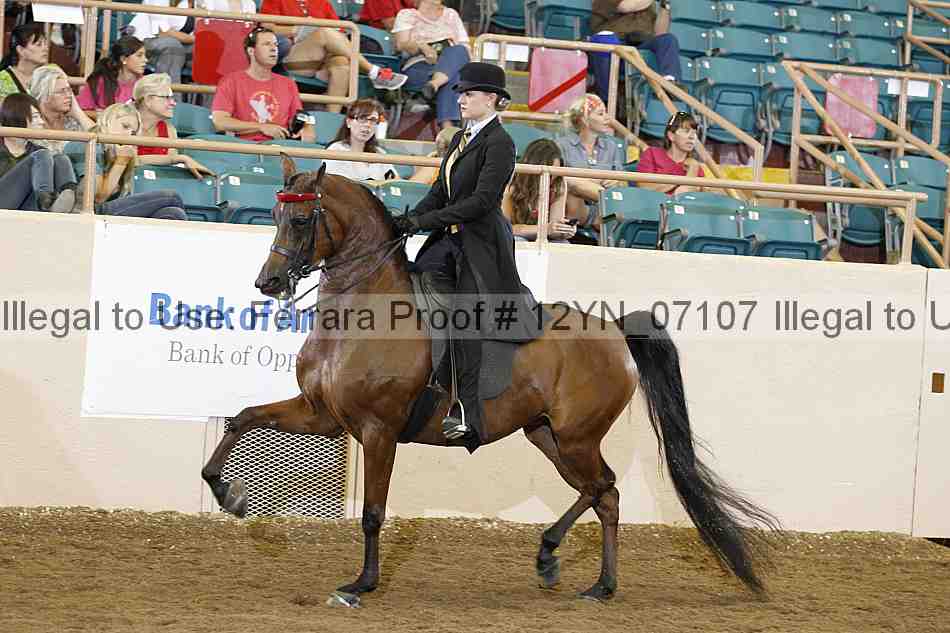 Proof 12yn_07107