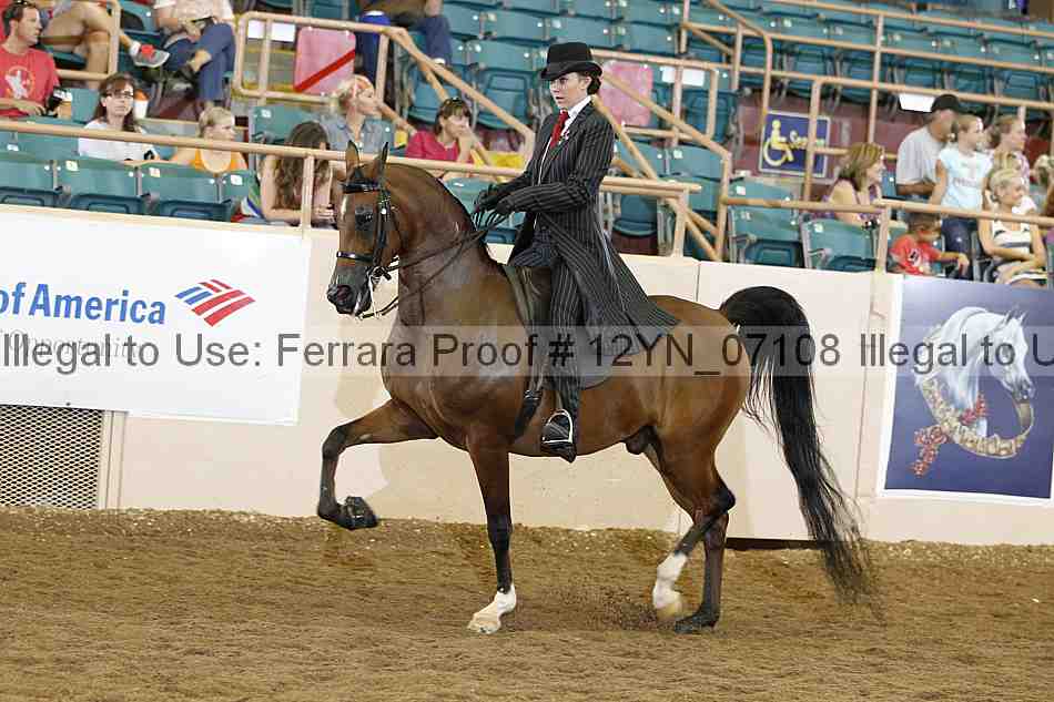 Proof 12yn_07108