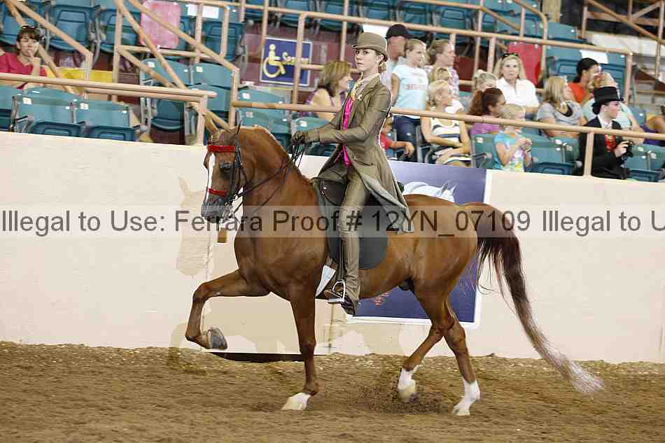 Proof 12yn_07109